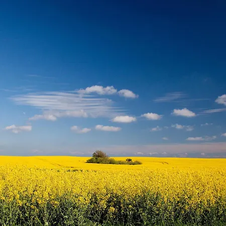 Garni Getreuer Eckart 빈츠